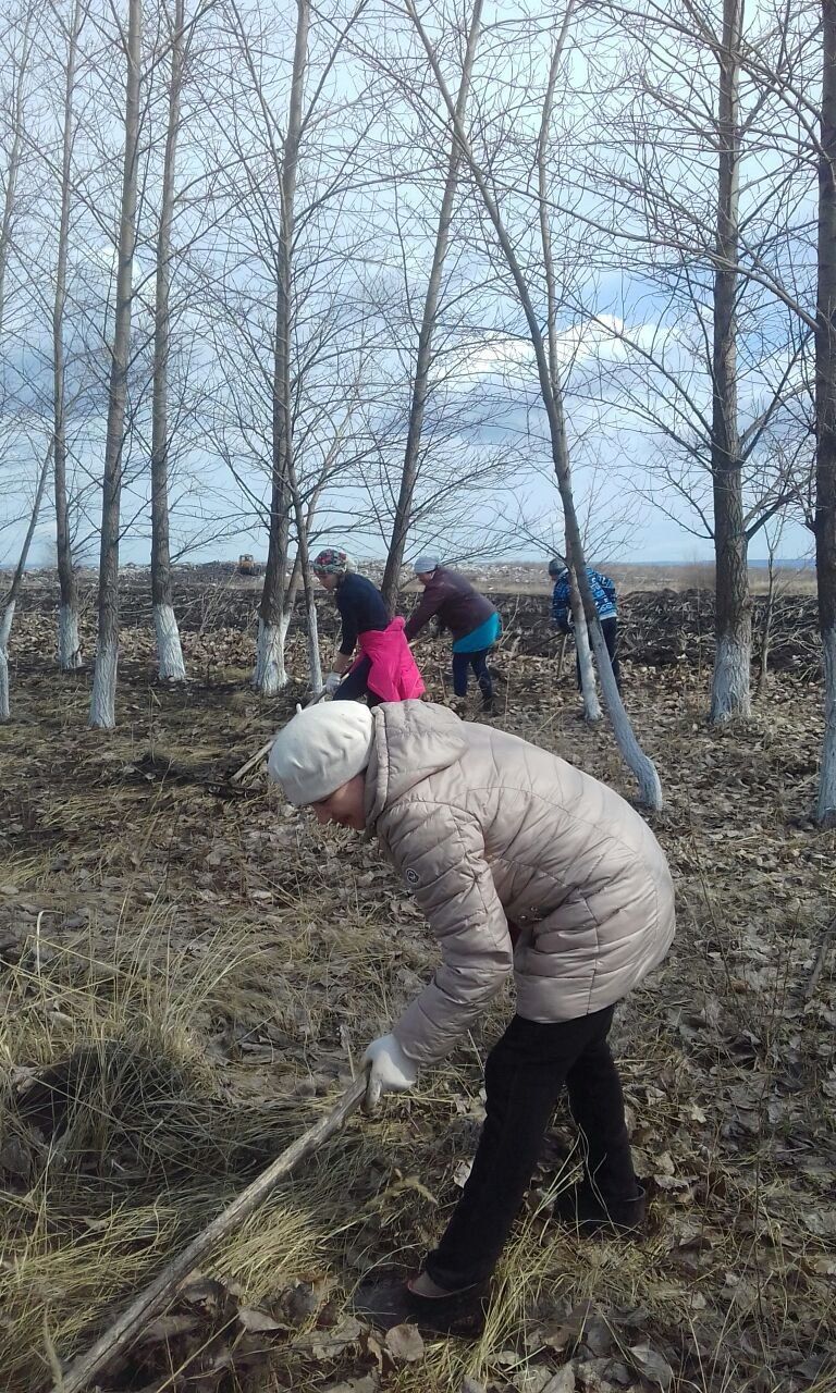 Апас хезмәт коллективлары бүген чисталык өмәләрендә катнашты