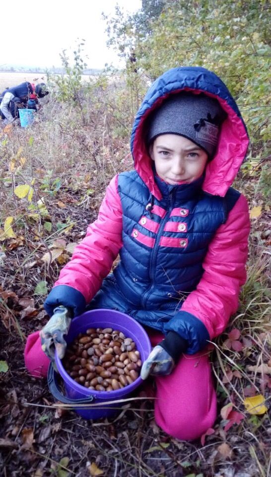 Члены экологического кружка Табар-Черкийской школы провели акцию "Жёлудь- 2018"