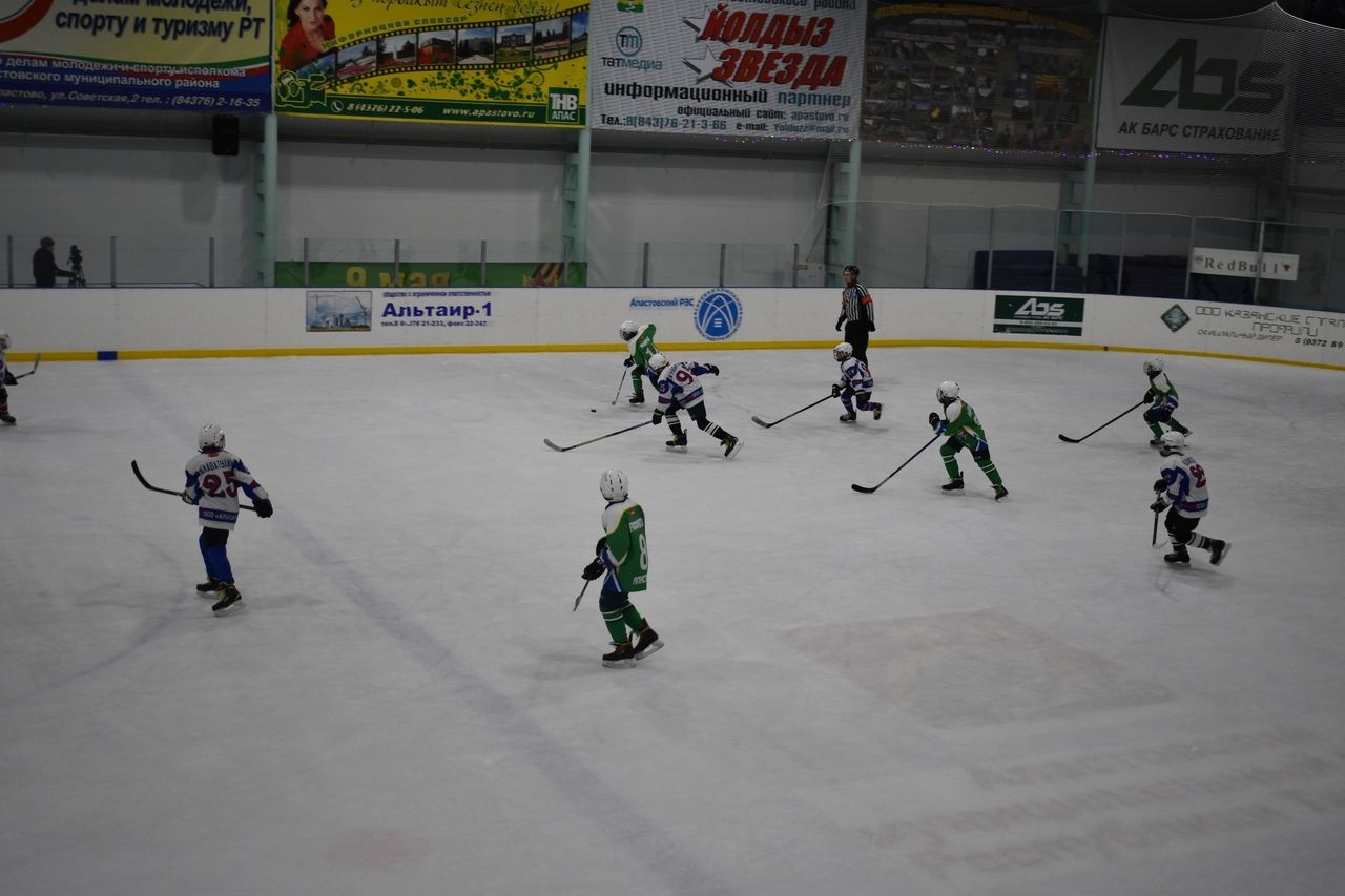 Новогодний хоккейный турнир в апастовском ледовом дворце “Алтын алка”