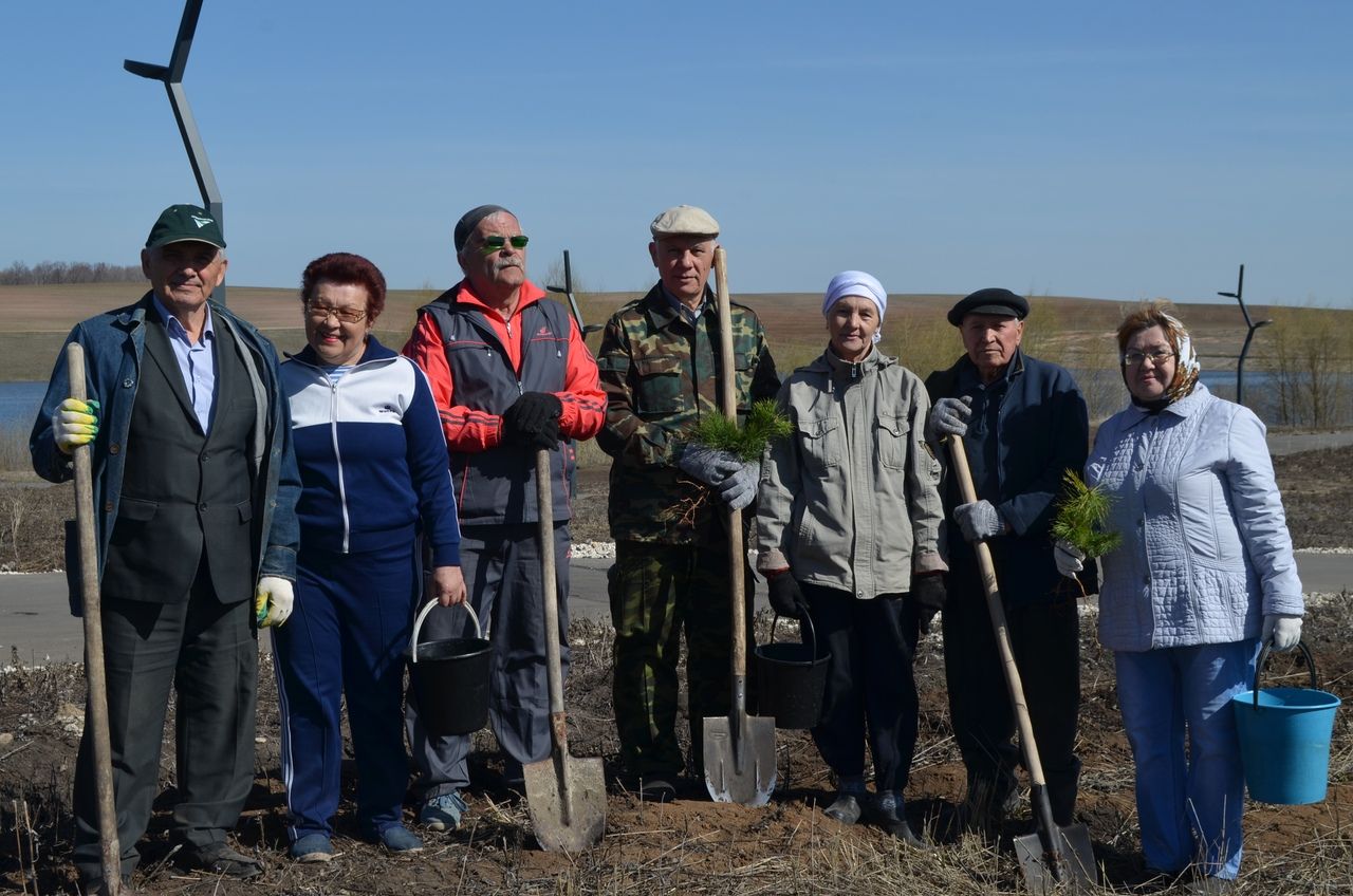 Апаста агач утырту көне узды