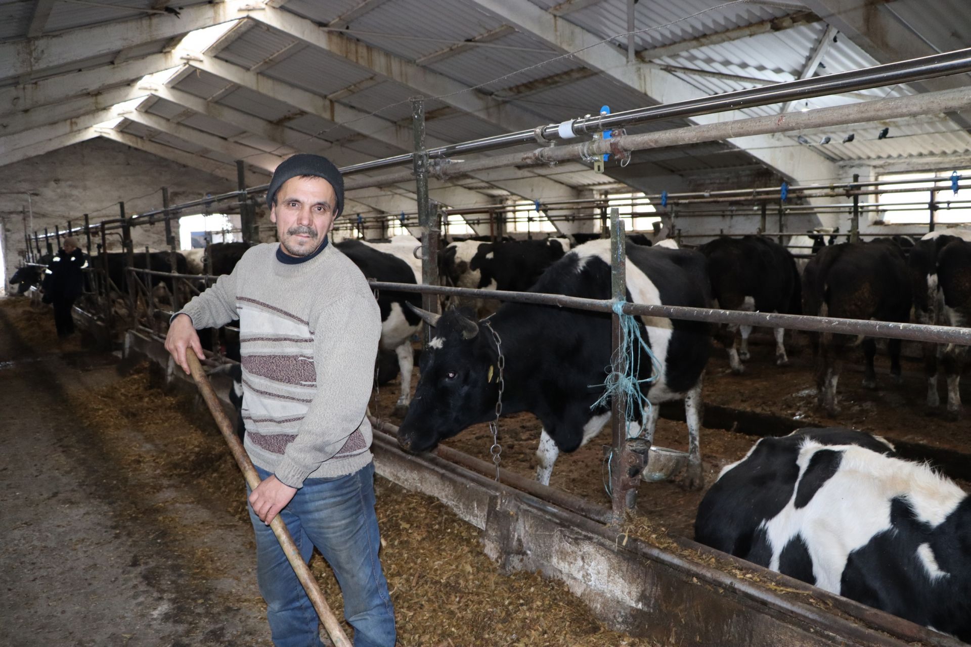 Рафиль Самигуллин уже 15 лет работает дояром на Деушевской ферме