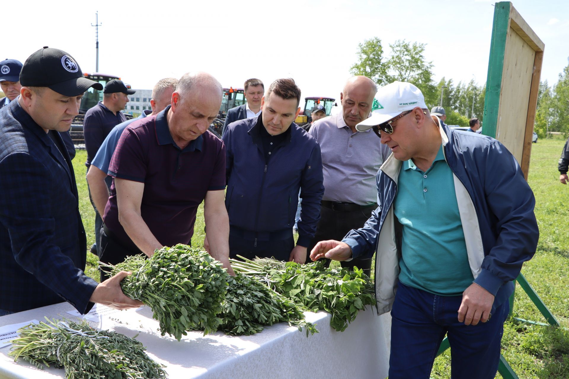 “Апас-Мол” терлек азыгы әзерләү эшенә әзер