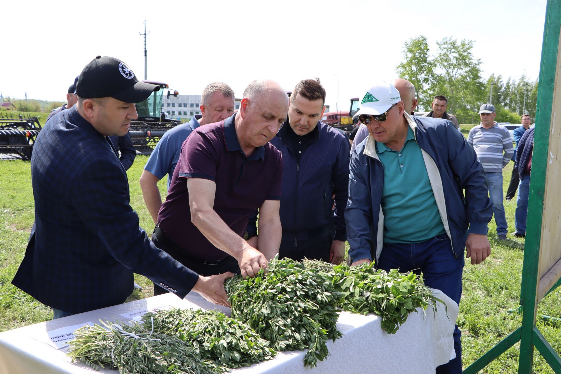 “Апас-Мол” терлек азыгы әзерләү эшенә әзер