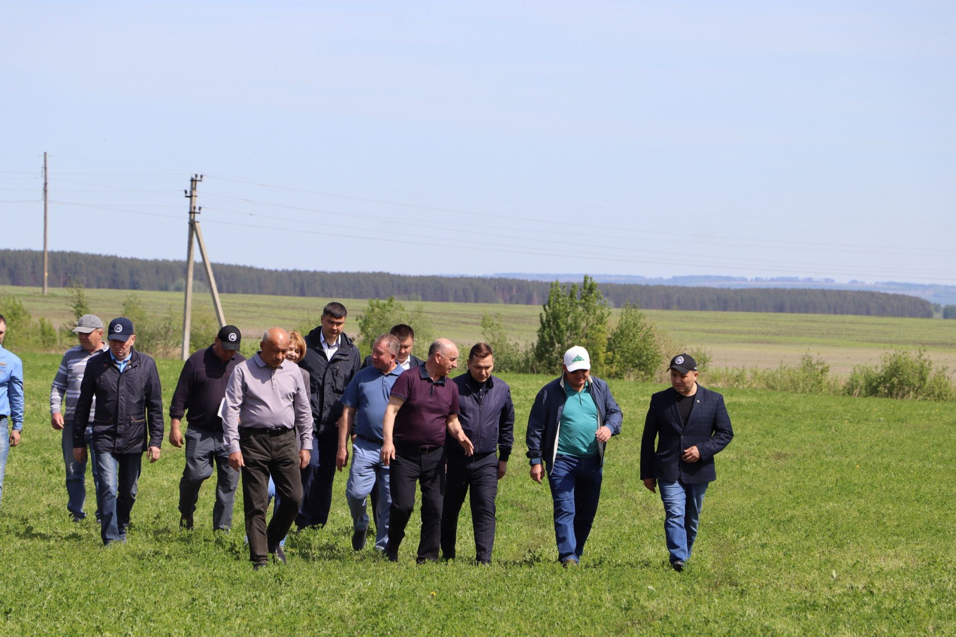 “Апас-Мол” терлек азыгы әзерләү эшенә әзер