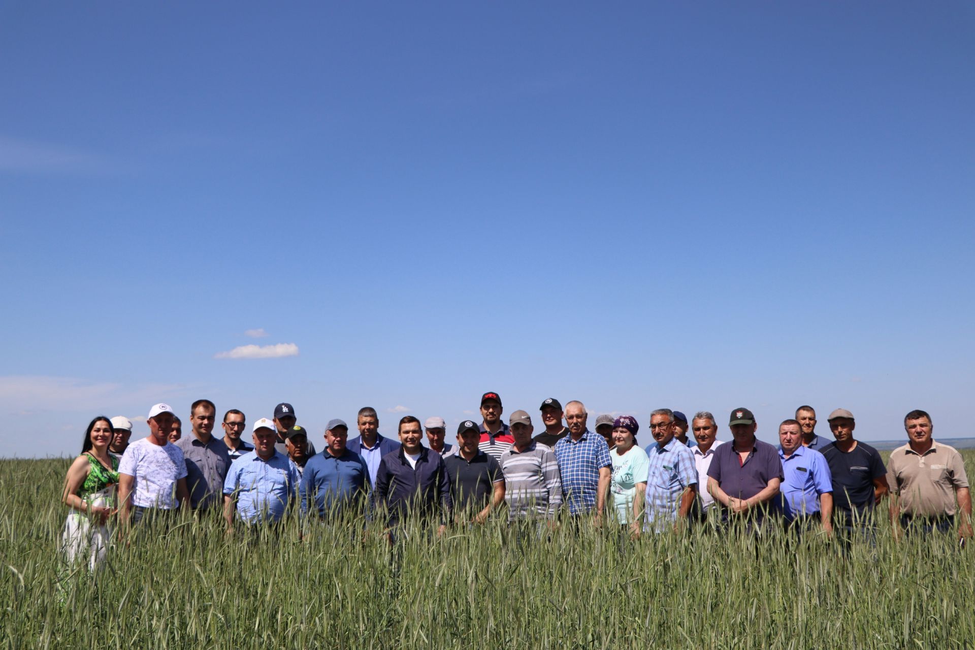 Руководители и специалисты сельхозорганизаций района провели совместный осмотр и оценку полей