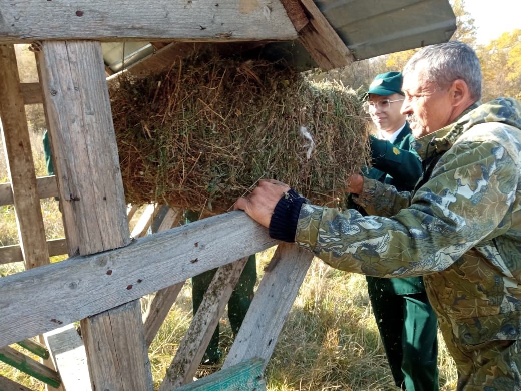 Апаста “Кыргый хайваннарга азык” акциясе узды