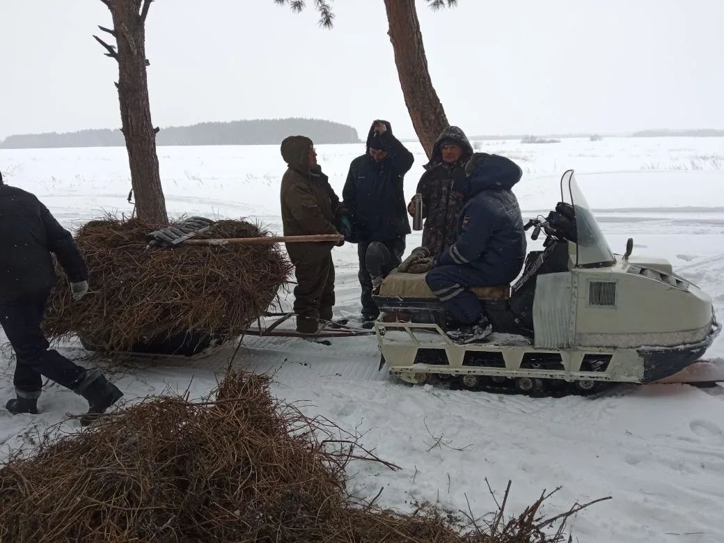 Апаста кыргый җәнлекләрне кайгырту акциясе бара