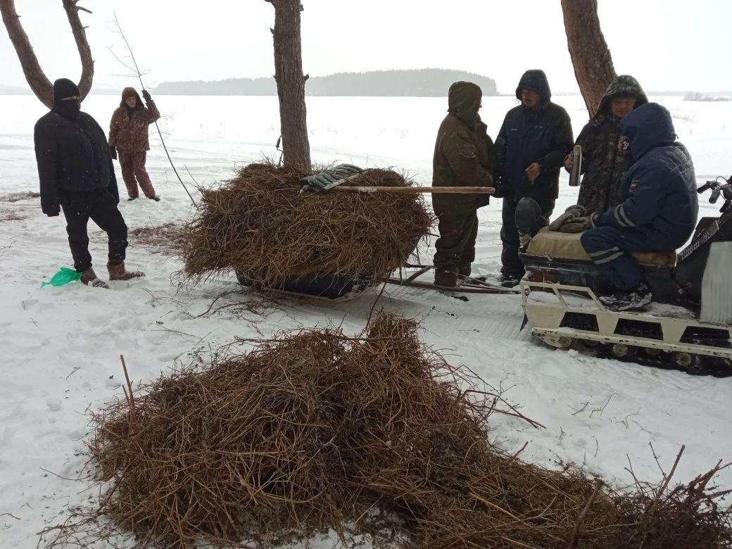 Апаста кыргый җәнлекләрне кайгырту акциясе бара
