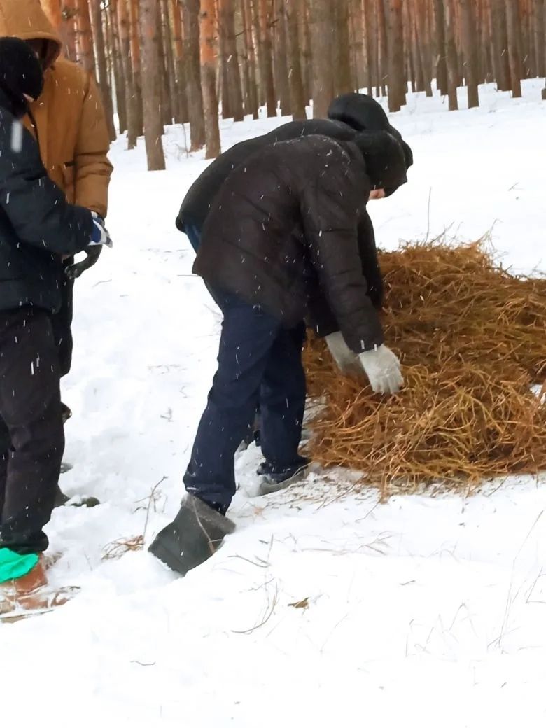 Апаста кыргый җәнлекләрне кайгырту акциясе бара
