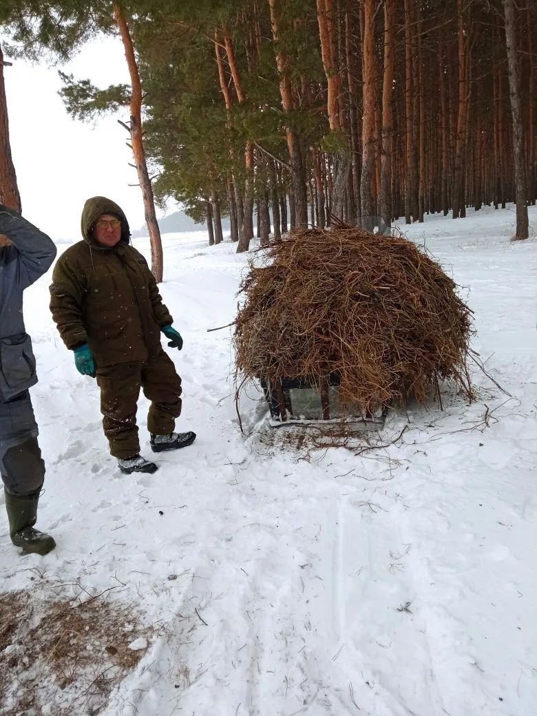 Апаста кыргый җәнлекләрне кайгырту акциясе бара