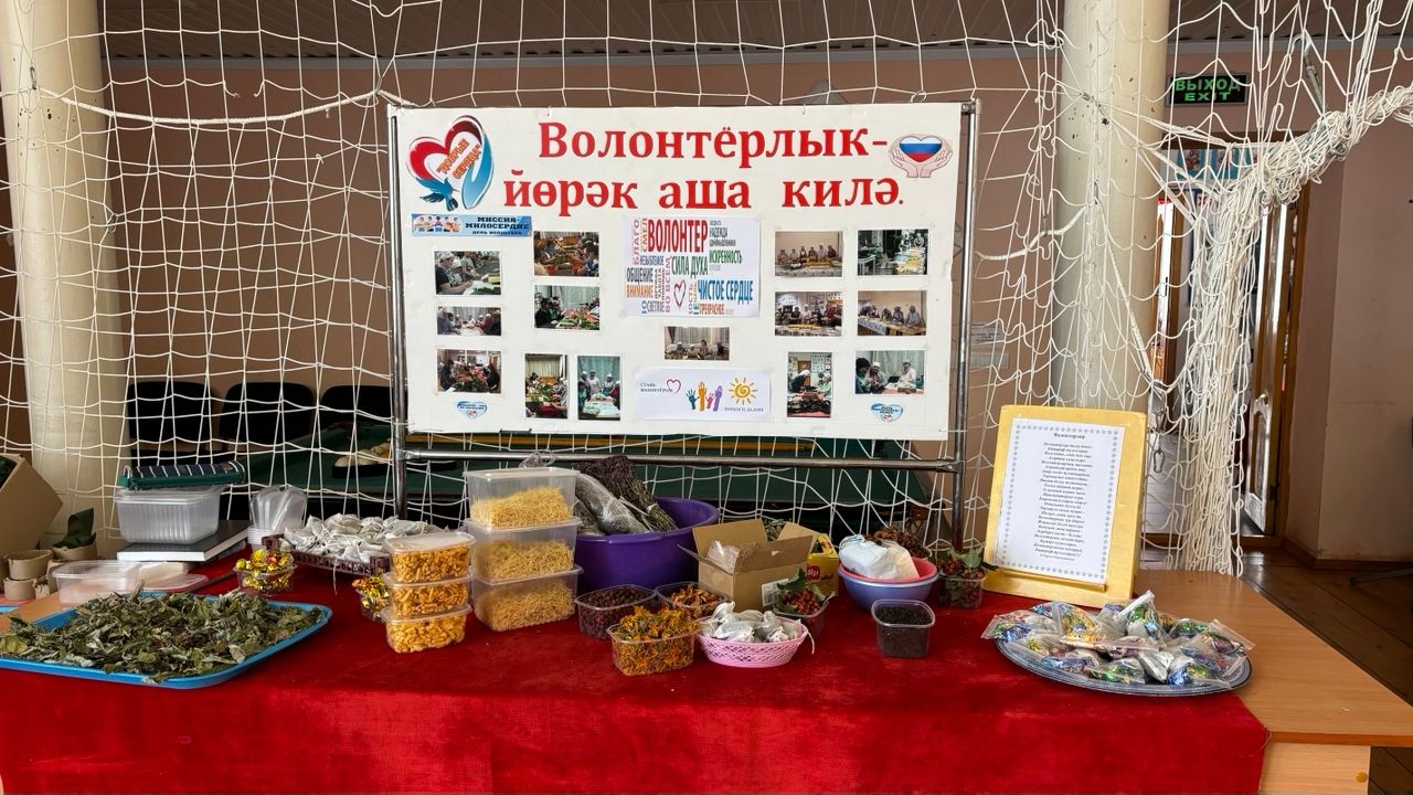 Зур Күккүз волонтерлары алма һәм шифалы үләннәр киптергән