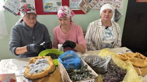 Волонтерлар – игелек кылучылар