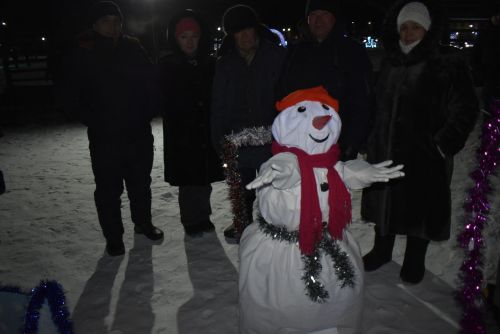 В районе прошел конкурс украшенных саней “Шәпсани”