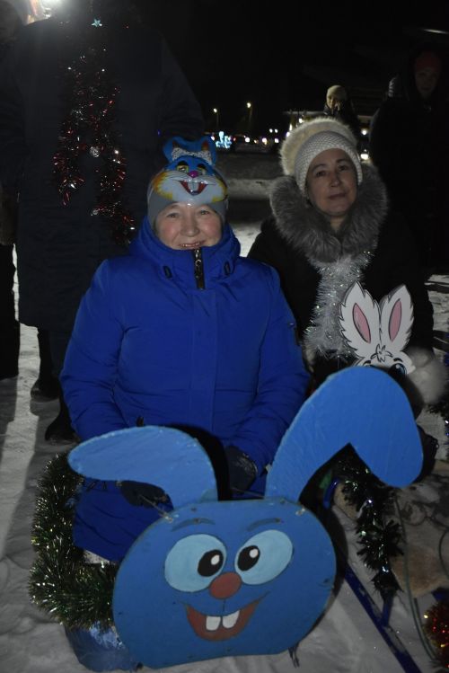 В районе прошел конкурс украшенных саней “Шәпсани”