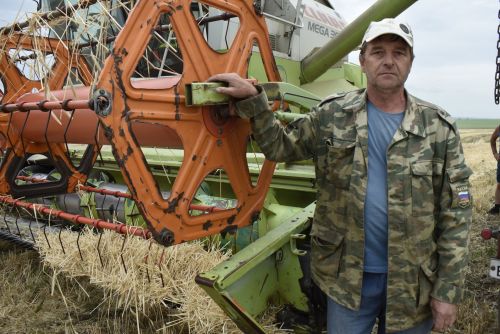 «Несмотря на сложные погодные условия, урожай выходит неплохой»