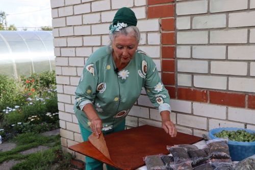 Рецепт вкусной пастилы
