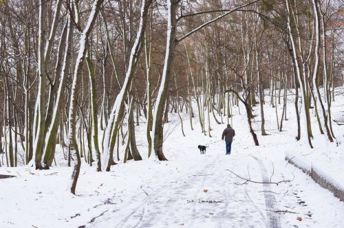 Татарстанда 17 яшьлек үсмер әбисен вәхшиләрчә кыйнаган да урманда карга күмеп калдырган