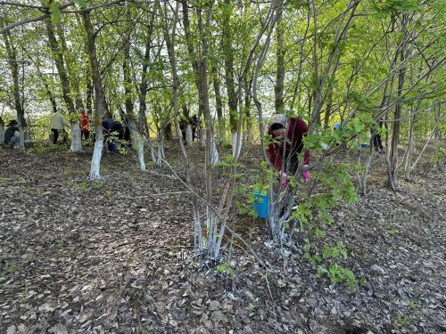 В районе продолжается двухмесячник по приведению в порядок скверов, парков, улиц и придомовых территорий