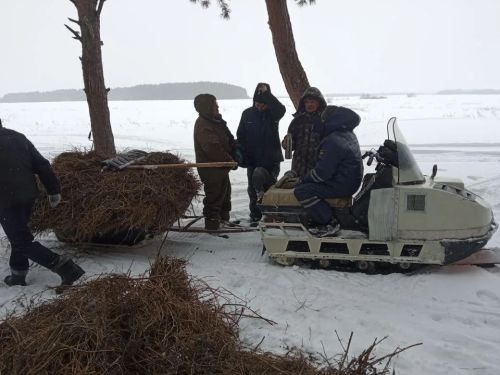 Апаста кыргый җәнлекләрне кайгырту акциясе бара