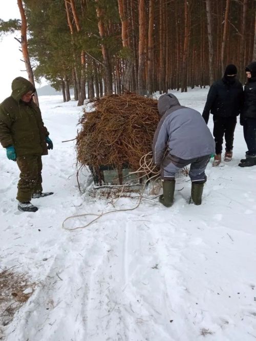 Апаста кыргый җәнлекләрне кайгырту акциясе бара