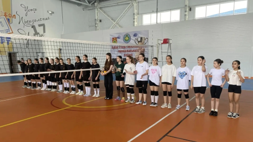 Апаста хөрмәтле остаз Рәмис Гыйззәтов үзенең туган көнендә волейбол ярышлары уздырды
