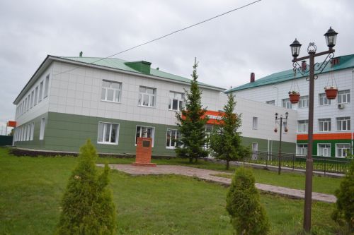 Район табиблары аллергияне кисәтү буенча чаралар тәкъдим итә
