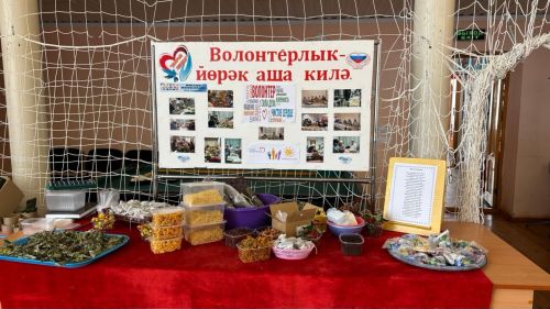 Зур Күккүз волонтерлары алма һәм шифалы үләннәр киптергән