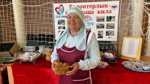 Зур Күккүз волонтерлары алма һәм шифалы үләннәр киптергән