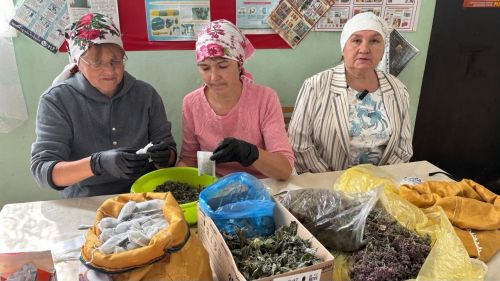 Әлмәндәр җирлеге волонтерлары изге эштә