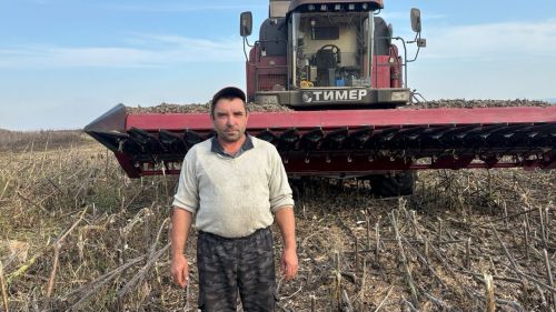 “АгроАктив” хуҗалыгында көнбагыш сугалар