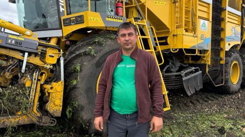Һәр аяз сәгать кадерле: Апаста уңыш җыю дәвам итә