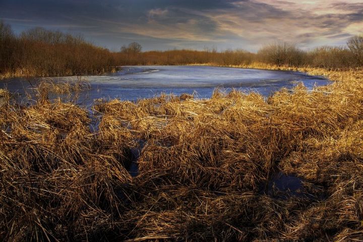 Без снега: морозы в Татарстане ударят по голой земле