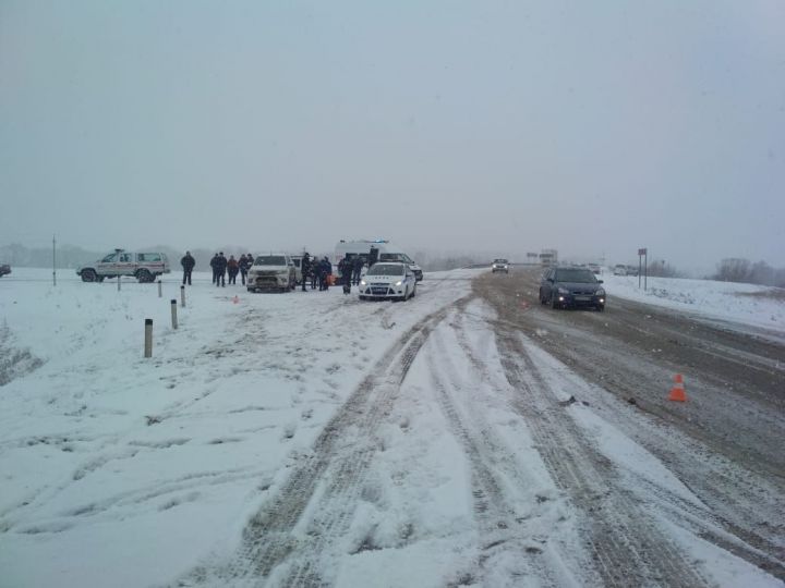 В Буинском районе на трассе сгорел автомобиль