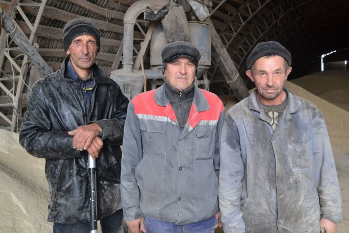 В Апастово идет заготовка кормов на зиму