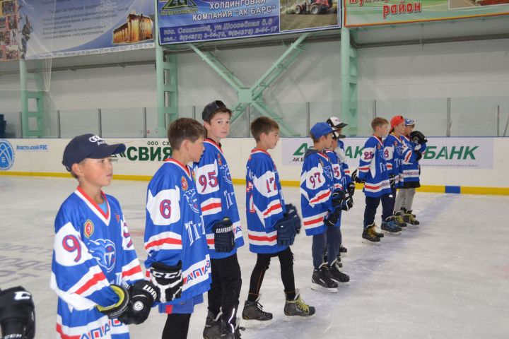 В Апастово прошли хоккейные матчи