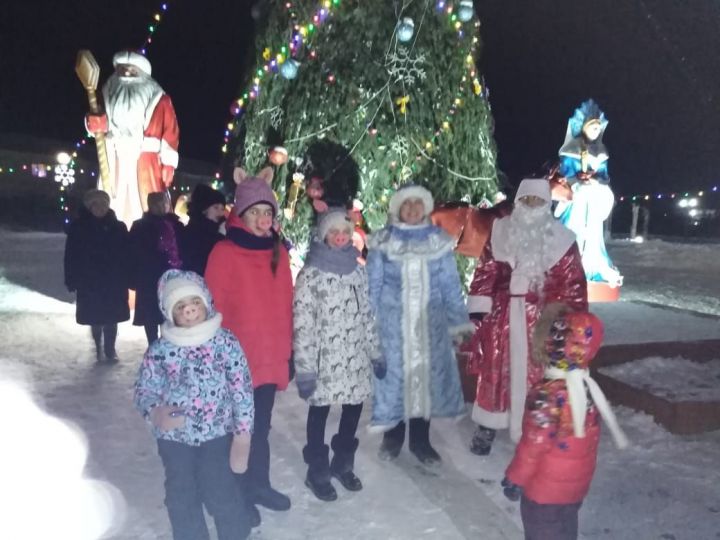 Праздничное мероприятие вокруг центральной елки Апастово "Выходи гулять"
