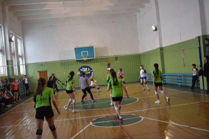 Соревнования по волейболу в Бишевской школе