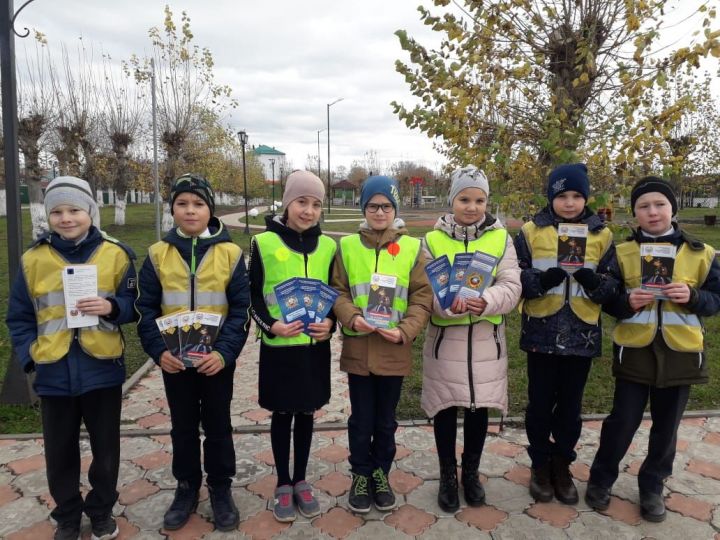 В Апастово прошла акция "Сделай себя заметным"