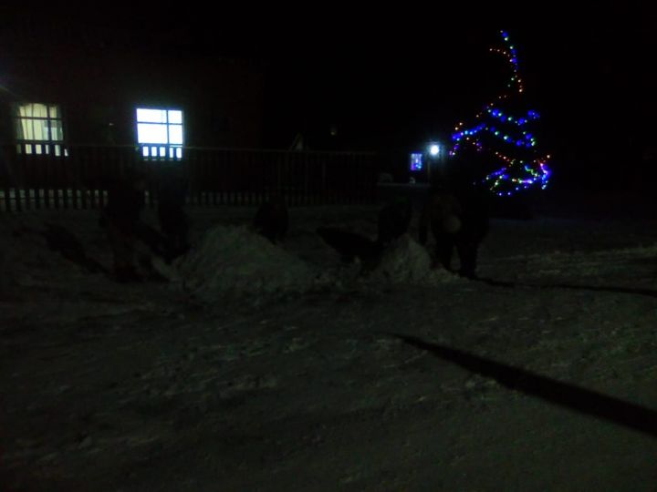 В Азбаба  всем селом взялись лепить снеговиков