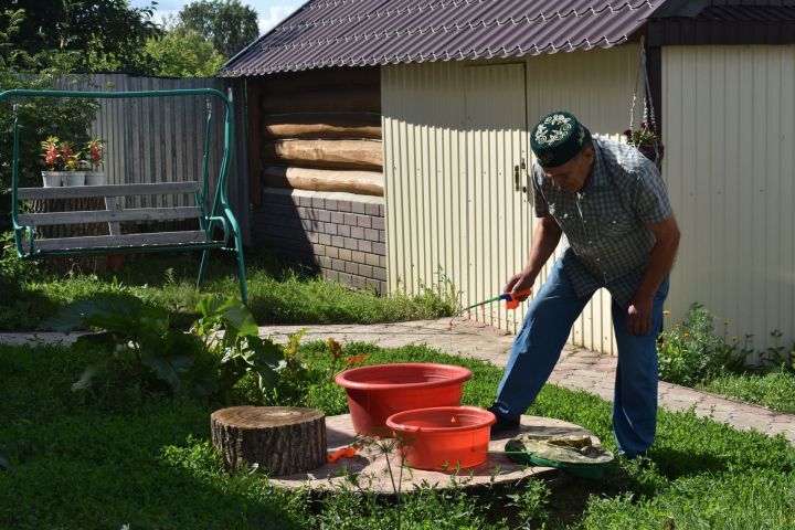 Апаста ветераннар арасында иң яхшы бакчачылар ачыклана