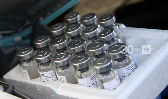 В республике получили вторую партию вакцины против гриппа для взрослых