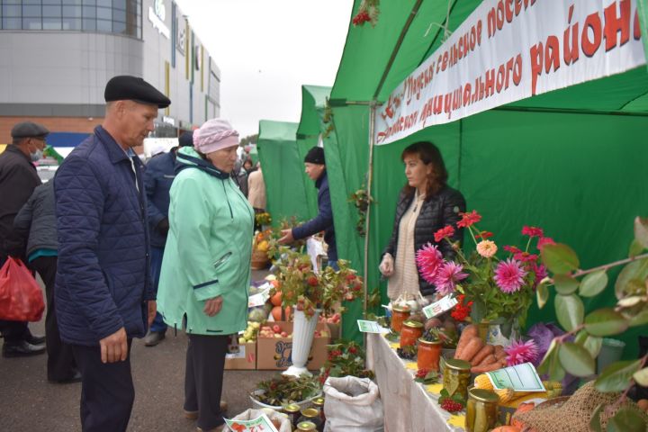 Осиново бистәсендә апаслылар көзге ярминкәдә катнашты