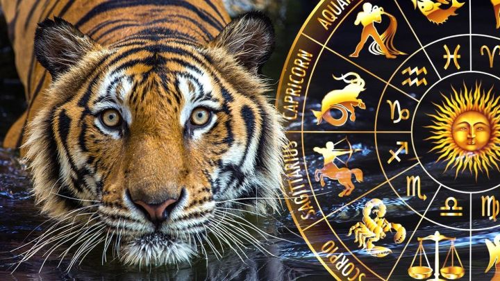 Что обещает Тигр? Гороскоп на 2022
