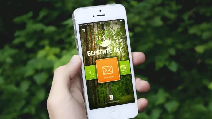 В РТ могут сообщить о происшествиях в лесу через мобильное приложение «Берегите лес»