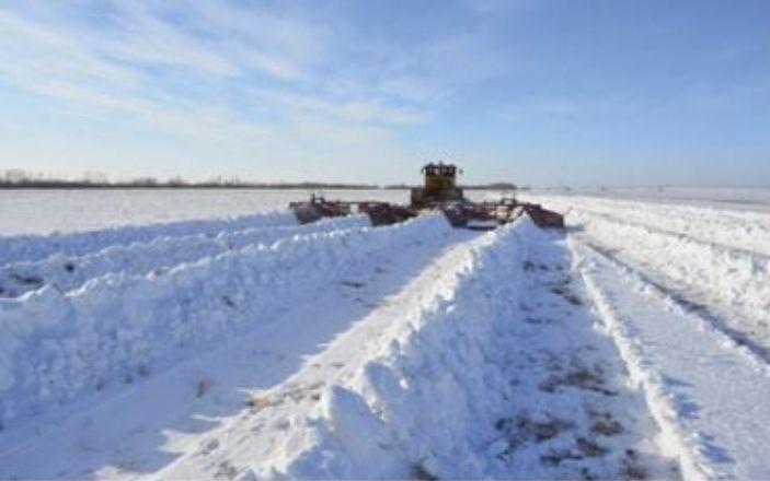 Влияние снежной мелиорации на почвенный покров