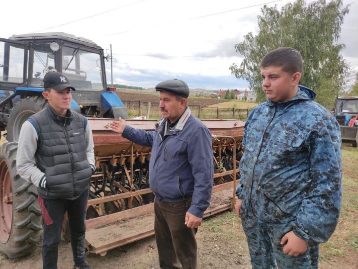 Студенты Апастовского аграрного колледжа на практике познают секреты профессии