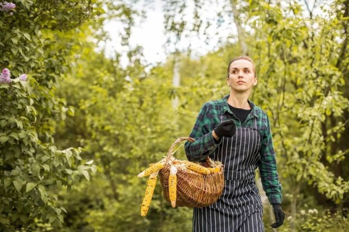 Чиләгенә – капкачы... (Кәрим Кара)