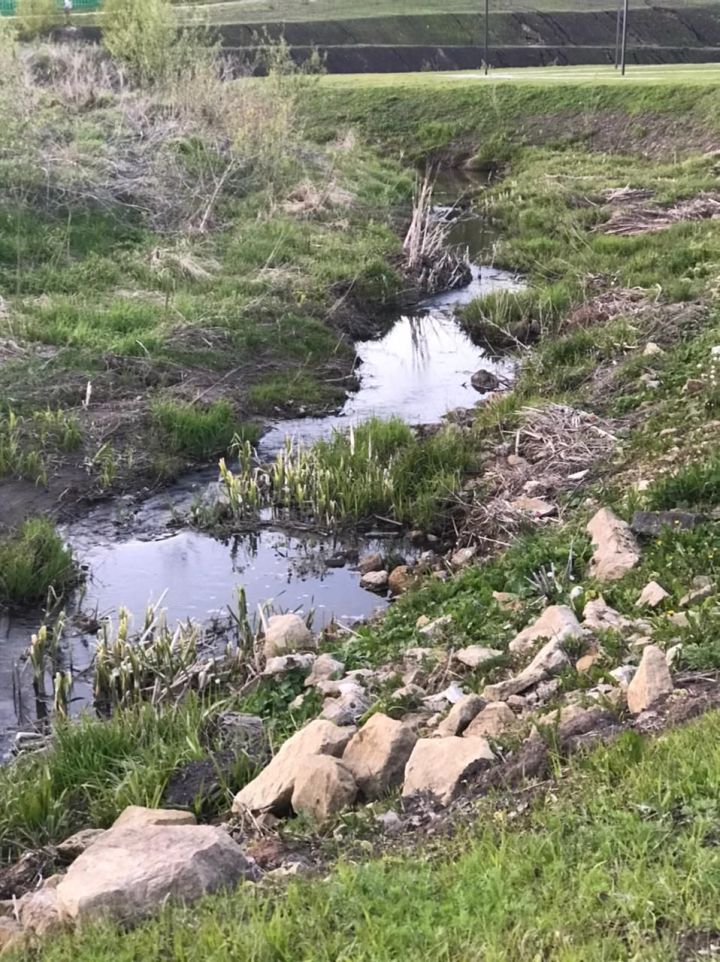 Һава торышы һәм ай календаре