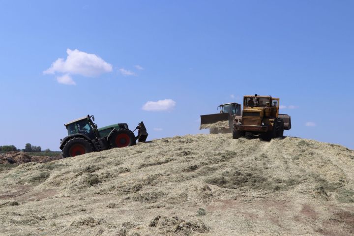 Район хуҗалыкларында терлек азыгы әзерләүнең иң кызган чоры