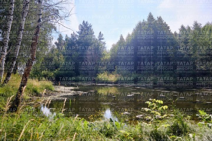 За сутки в Татарстане утонули 5 человек